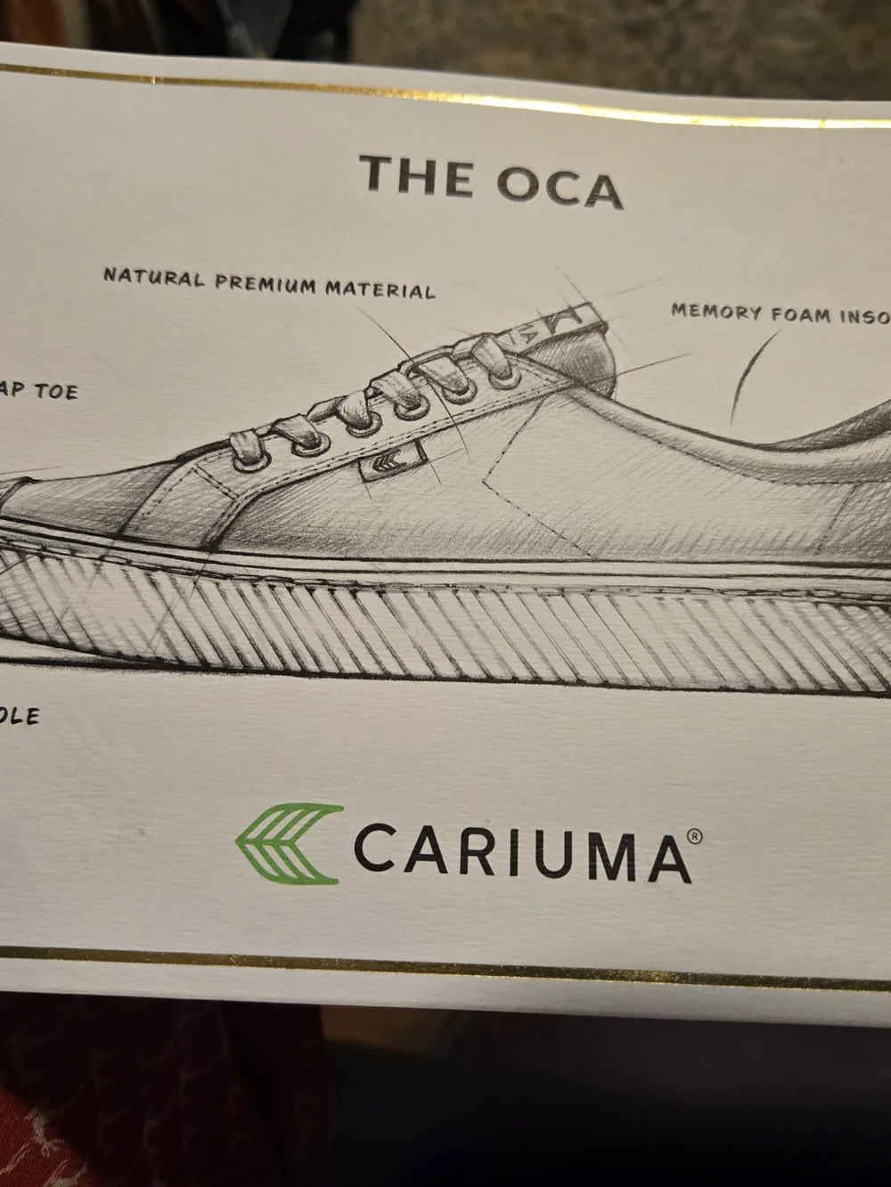 Cariuma Men’s White Canvas Sneakers with Green Accent